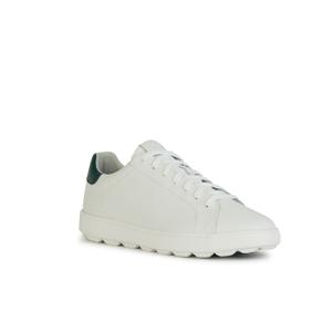 product/g/e/geox_u45gpa_0009b_c1966_white-dk-green_2.jpg