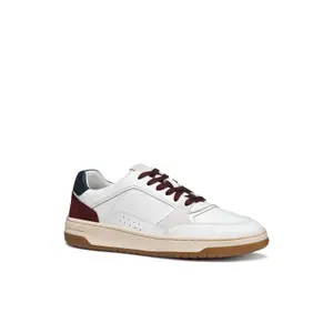Trainers Geox Sedral Court image-1