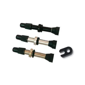 Αλουμινένιοι βαλβίδες presta tubeless Ges image-0