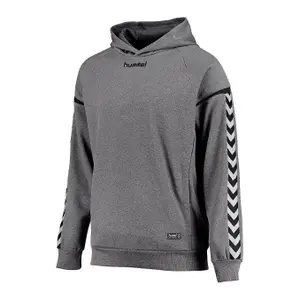 Felpa con cappuccio in poliestere Hummel hmlAUTHENTIC Charge image-0