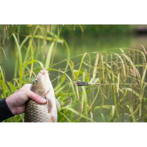 Comedero aleación abierta Matrix inter image-1