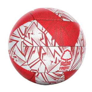 Nottingham Forest World Cup League Ball image-0