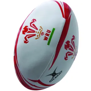 25er Set Rugbybälle Pays de Galles image-0