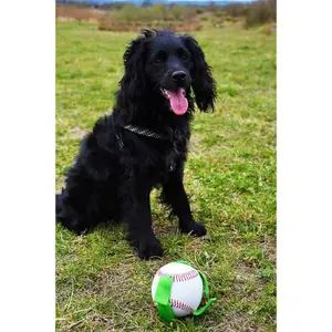 Béisbol para perros Gioco image-1