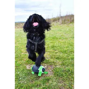 Rugbybal voor honden Gioco image-1