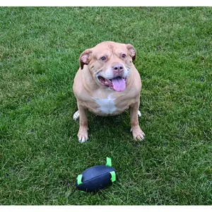 Rugbybal voor honden Gioco image-2