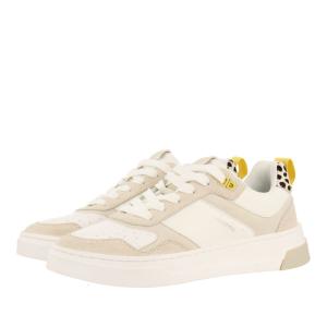 Sneakers Gioseppo Penwith image-1