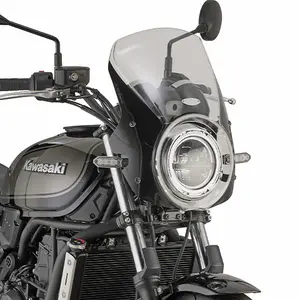 Motorcykel-boble Givi Z650RS