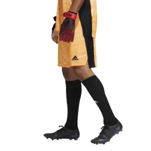 Goalkeeper shorts adidas Condivo 21 Primeblue image-4