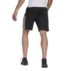 Short training Juventus image-1