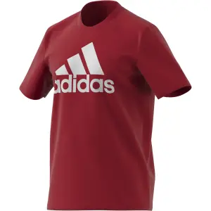 Camiseta adidas Essentials Big Logo image-0