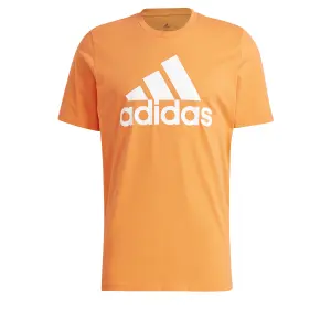 Camiseta adidas Essentials Big Logo image-0