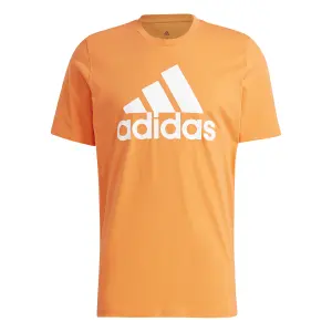 Camiseta adidas Essentials Big Logo image-1