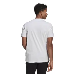 T-shirt adidas Explore Nature Graphic image-3