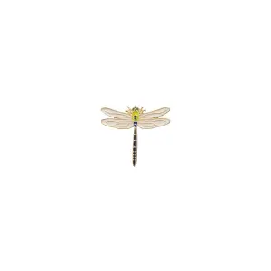 Fuso Global Affairs Amsterdam Dragonfly