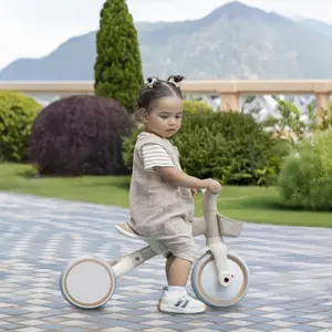 Eco-friendly Carrier Globber Learning Bike image-6