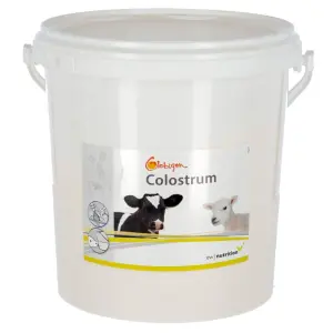 Suplemento alimenticio para terneros Globigen Colostrum