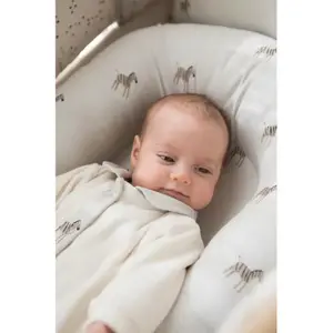 Gloop! Baby's first clothes set! Zebra image-6