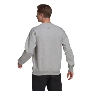 Felpa adidas Sportswear Mountain Graphic image-3