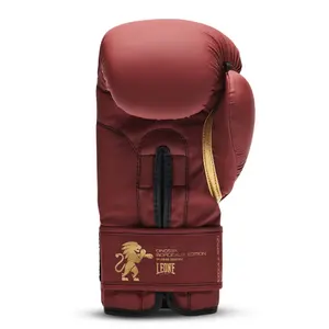 Boxing gloves Leone Bordeaux Edition image-2