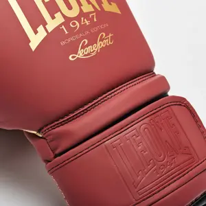 Boxing gloves Leone Bordeaux Edition image-4
