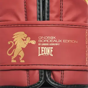 Boxing gloves Leone Bordeaux Edition image-5