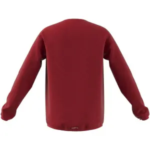 Sudadera para niños adidas Designed To Move Big Logo image-0