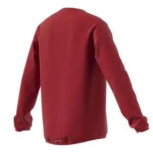 Sudadera para niños adidas Designed To Move Big Logo image-2