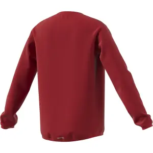 Sudadera para niños adidas Designed To Move Big Logo image-5