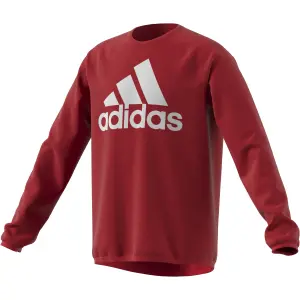 Sudadera para niños adidas Designed To Move Big Logo image-4
