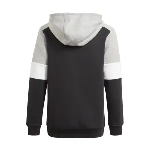 Sudadera con capucha para niños adidas Essentials Colorblock image-6