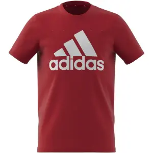 Camiseta para niños adidas Essentials Big Logo image-0