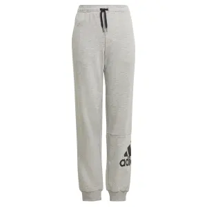 Pantalón de chándal para niño adidas Essentials Big Logo image-0