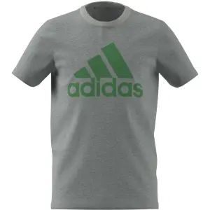 Camiseta para niños adidas Essentials Big Logo image-0