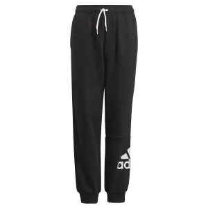 Jogginghose für Kinder adidas Essentials Big Logo image-0