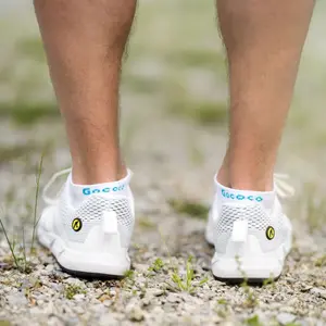 socks Gococo No Show Circulation image-1