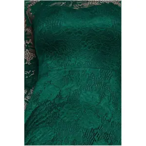 Women's dress Goddiva Scalloped Lace A-Line image-3