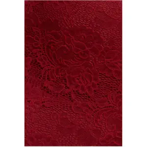 Lace Trim V-Neck Dress Woman Goddiva Maxi image-3