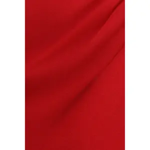 Lace wing bodice dress for women Goddiva Maxi image-2