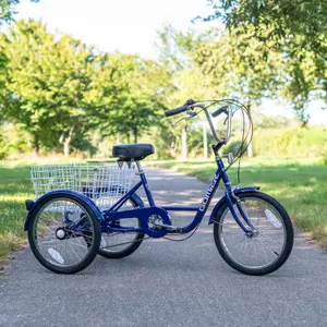 Triciclo Gomier Gomier