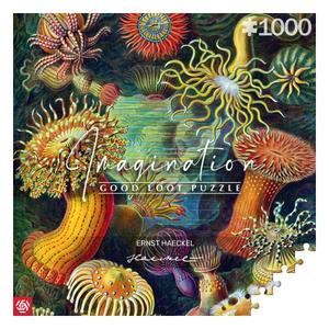 golo-24494-puzzel-van-1000-stukjes-good-loot-ernst-haeckel-imagination-sea-anemones-stworzenia-morskie-veelkleurig-68x48-cm
