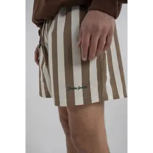Costume da bagno vintage a righe Goodies Sportive image-1