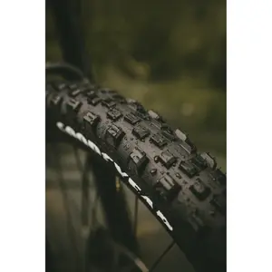 Ελαστικό Goodyear Newton MTF Downhill Tubeless complete image-2