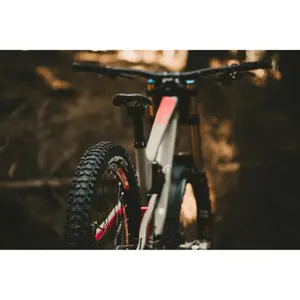 Ελαστικό Goodyear Newton MTF Downhill Tubeless complete image-1