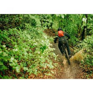 Waterproof pants Gore Fernflow image-4