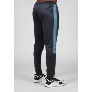 Pantaloni da allenamento Gorilla Wear Devon image-1