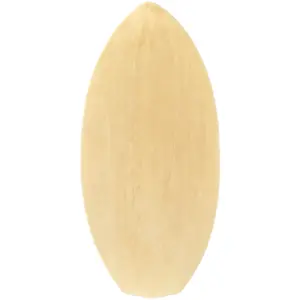 Σκίζουνισης skimboard Gozone Eva Starter image-1