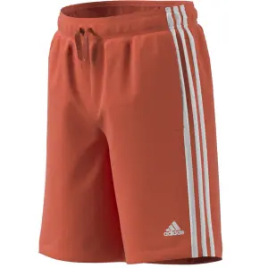 Kinder shorts adidas Essentials 3-Bandes Chelsea image-3