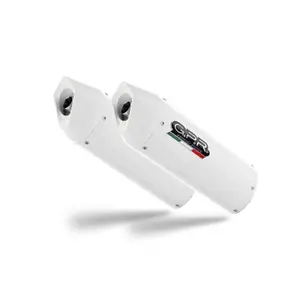 Silencer for motorcycle GPR Tech Albus BMW R 1200 S 2006-2008 image-0