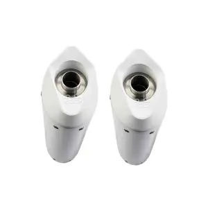Silencer for motorcycle GPR Tech Albus BMW R 1200 S 2006-2008 image-3